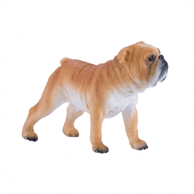 Mojo Buldog Angielski