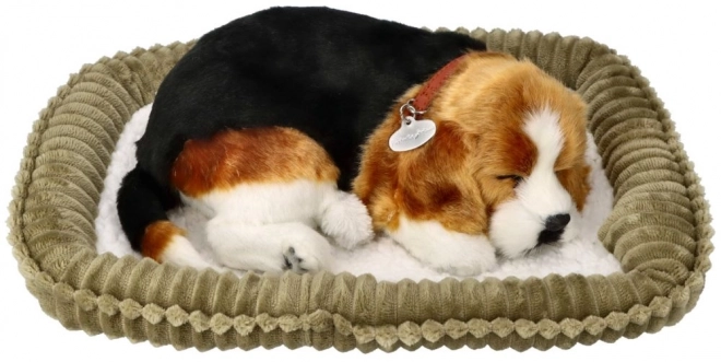 Oddychające szczeniaczko Beagle Perfect Petzzz