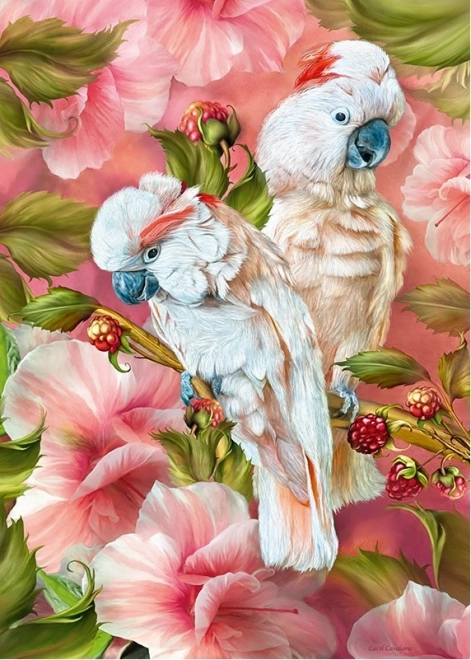 CHERRY PAZZI puzzle kakadu – duchy tropików, 1000 elementów
