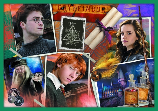 Puzzle Harry Potter - W świecie Harry'ego Pottera 10w1