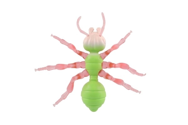 Antystresowa Mrówka