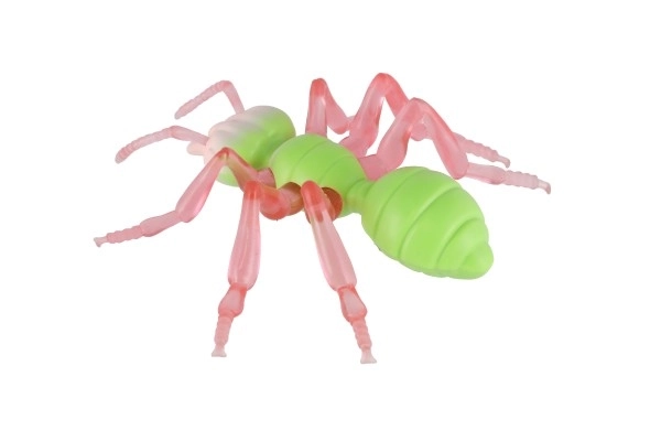Antystresowa Mrówka