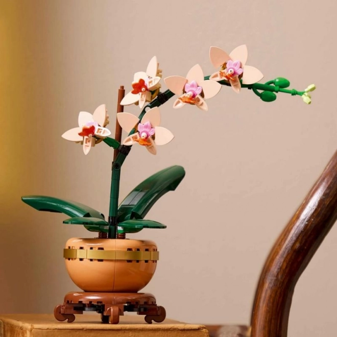 Lego Botanicals Mała Orchidea