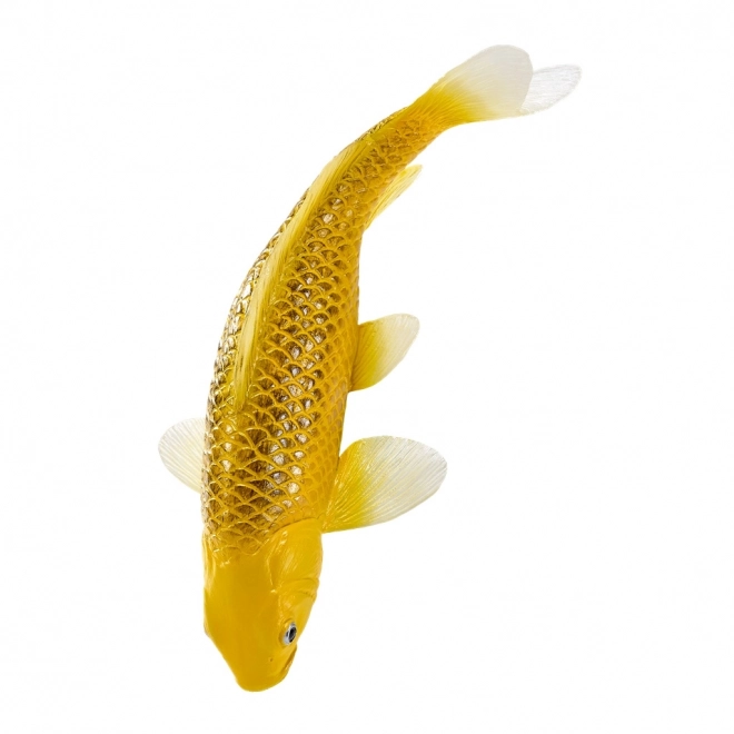 Mojo karp koi Matsuba
