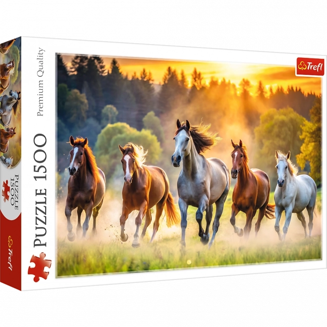 Puzzle Dziko żyjące Konie 1500 elementów