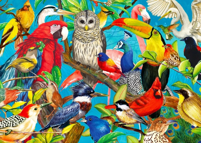 Puzzle Pierzaste Szaleństwo 1000 Części