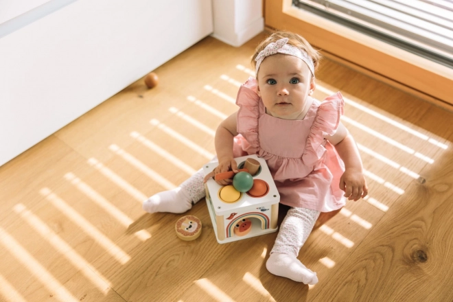 Drewniany Pudełko Wkładane Zwierzątka i Piłki