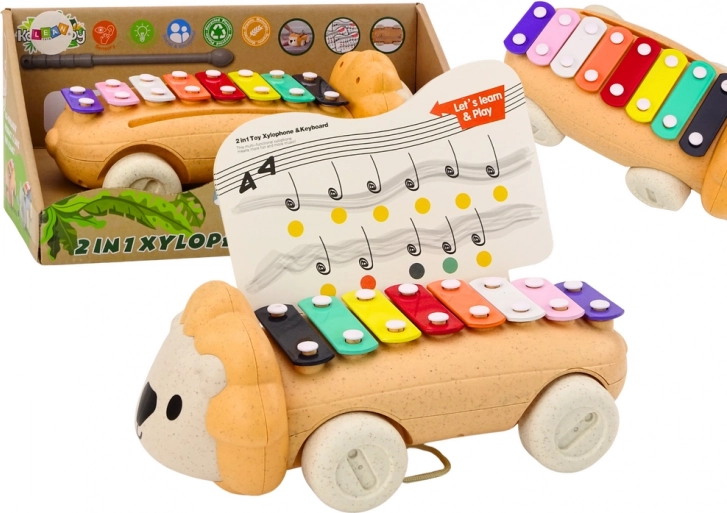 Lwie Cymbałki na Kółkach Dziecięcy kolorowy edukacyjny instrument