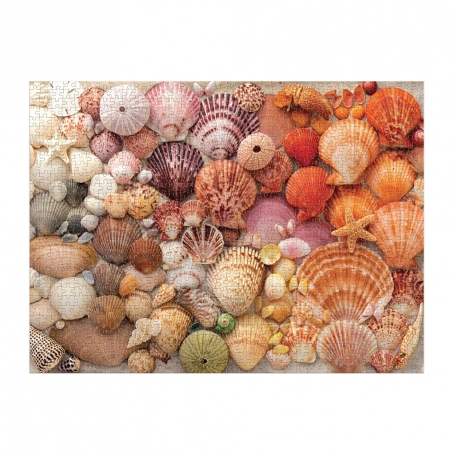 Puzzle Lśniące Muszle 1000 elementów