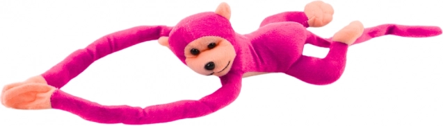 Rzepy na kończynach