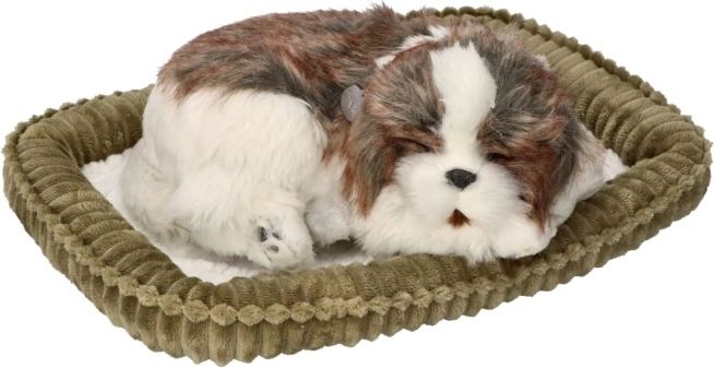Adoptuj mnie – oddychające szczeniątko Shih Tzu