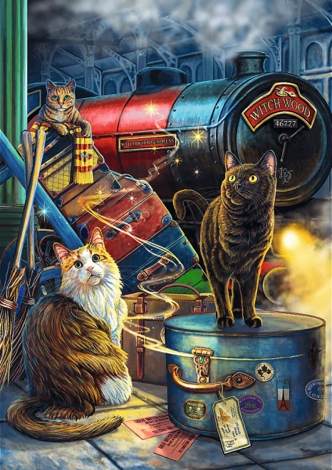Puzzle TREFL Premium Plus Magic Collection: Witchwood Express 1000 elementów