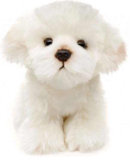 Wydanie eco-friendly i bezpieczne