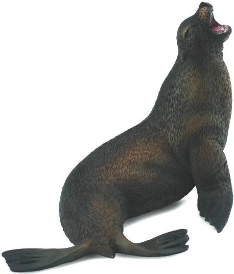 Uchatka grzywiasta Collecta
