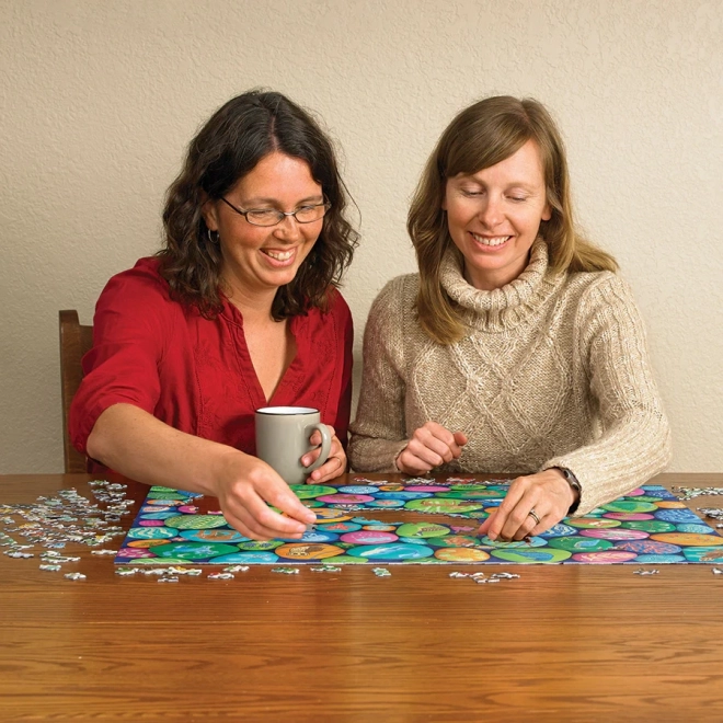 Puzzle Malowane Kamienie Północnego Zachodu od Cobble Hill, 1000 elementów