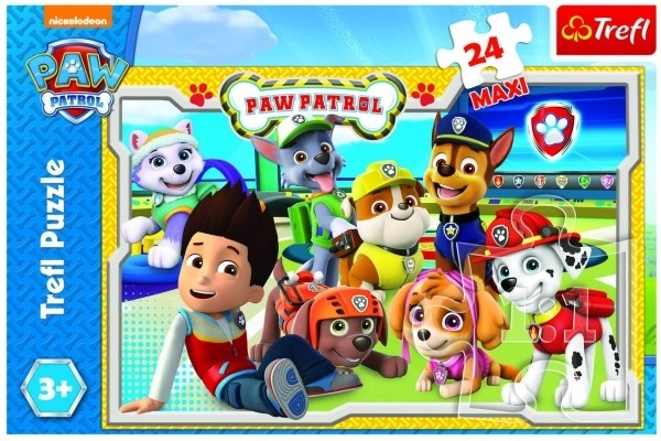 Puzzle Psi Patrol MAXI 24szt. 60x40cm w pudełku 39x26x4cm