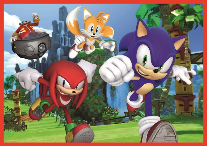 Puzzle 4w1 Sonic/Sonic The Hedgehog 28,5x20,5cm w pudełku 28x28x6cm