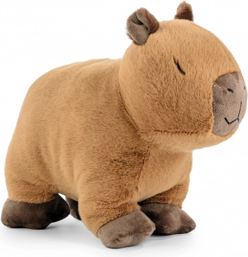 Miękkość i komfort od pierwszego dotyku