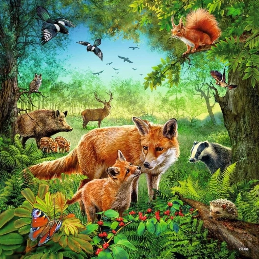 Wyraźne kolory i szczegółowe ilustracje