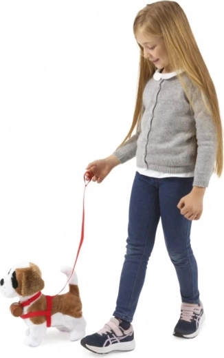 Chodzi na smyczy i reaguje na klaśnięcie