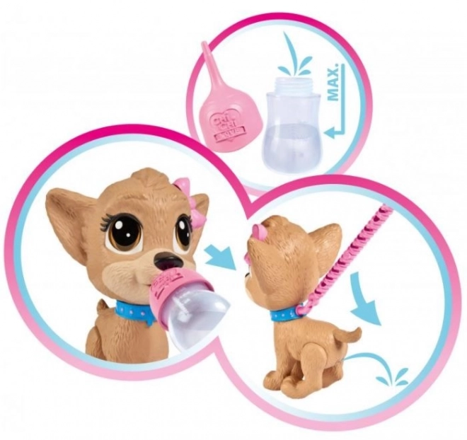 CCL Piesek Chihuahua Pii Pii