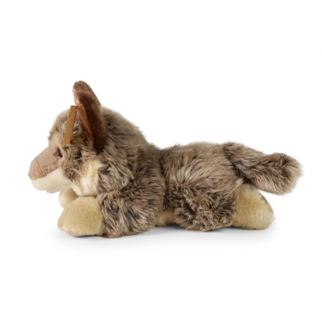 Pluszowy wilk leżący 20 cm ECO-FRIENDLY