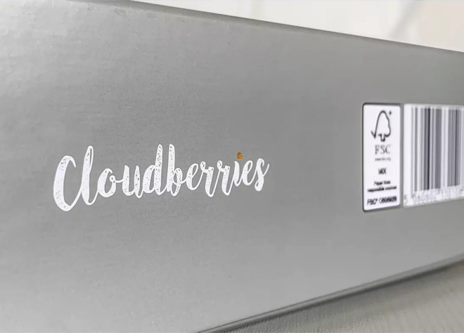 Cloudberries Puzzle Hideaway - 500 elementów