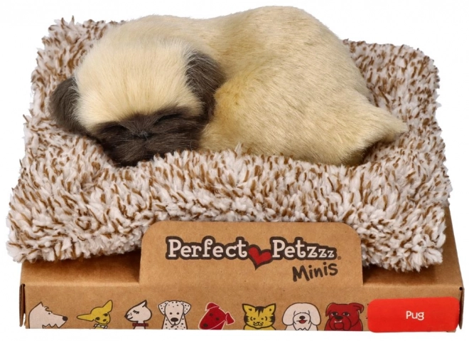 Urocze szczenię mops Perfect Petzzz