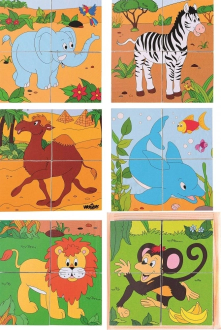 Puzzle zoo kostki