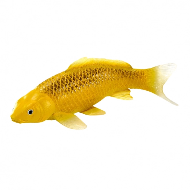 Mojo karp koi Matsuba