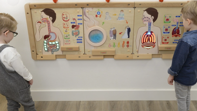 Bezpieczna konstrukcja ścienna do szkół i domu