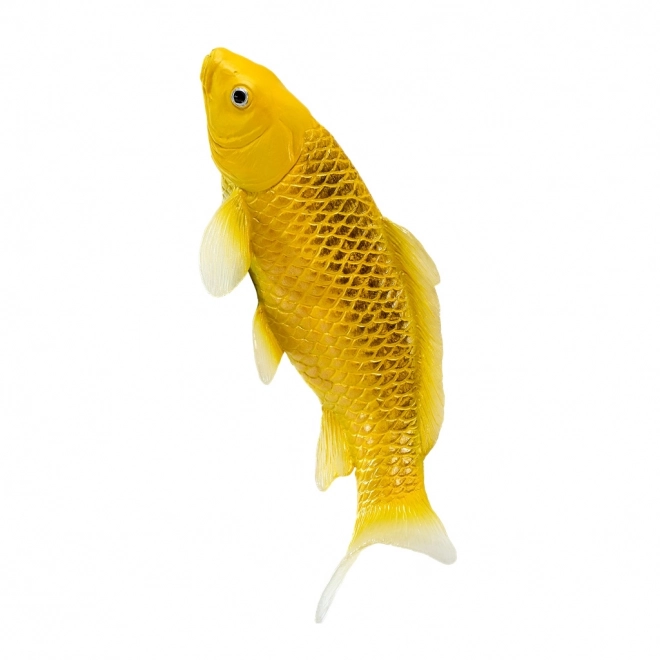 Mojo karp koi Matsuba