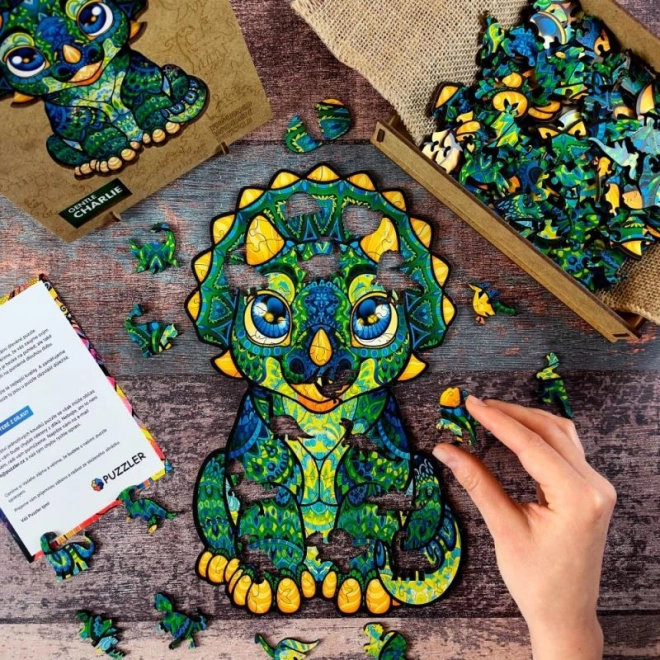 Magiczne drewniane kolorowe puzzle - Drogi Charlie