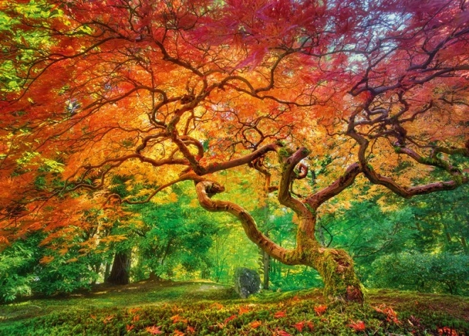 Cherry Pazzi puzzle Korona drzewa 1000 elementów