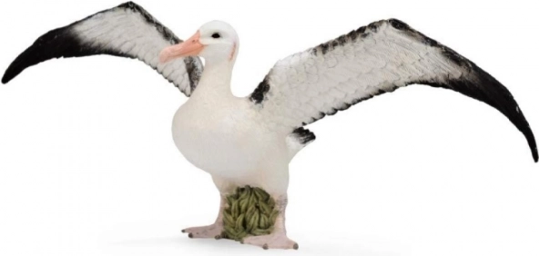 Albatros wędrowny