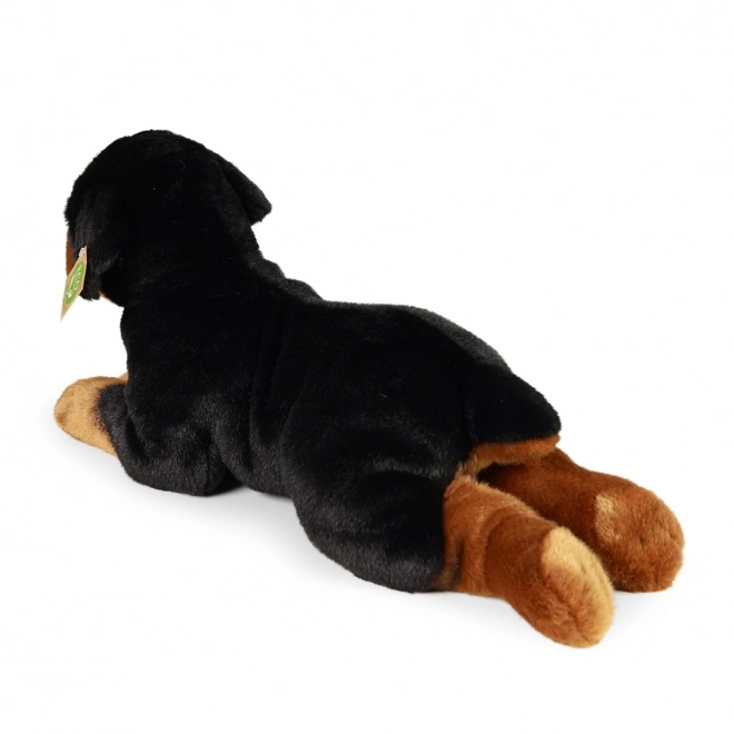 Pies pluszowy Rottweiler leżący 39 cm ekologiczny