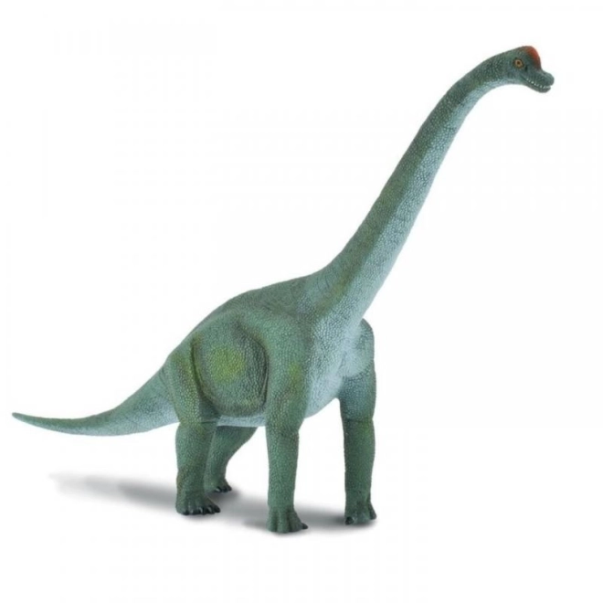 Figurka Brachiosaurus od Collecta