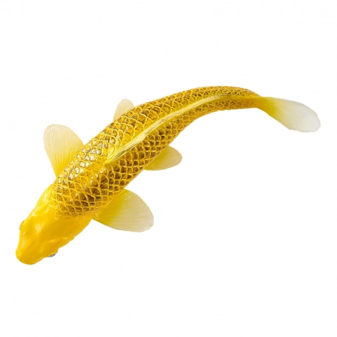 Mojo karp koi Matsuba