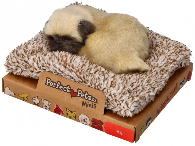 Urocze szczenię mops Perfect Petzzz