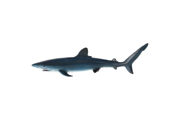 Żarłacz błękitny zooted plastikowy 15 cm w woreczku