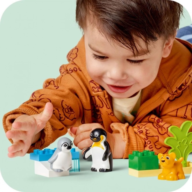 Lego Duplo Rodziny dzikich zwierząt: Pingwiny i lwy