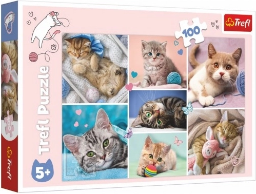 Puzzle W kocim świecie 100 elementów Trefl