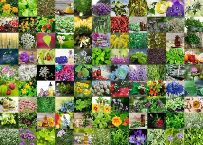 Puzzle RAVENSBURGER 1000 elementów 99 ziół