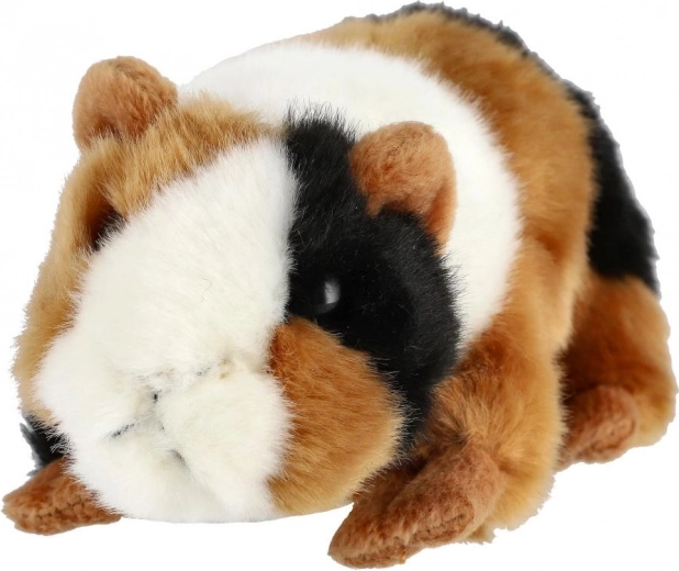 Realistyczne trójkolorowe umaszczenie