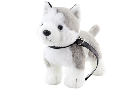 Pluszowy husky z smyczą