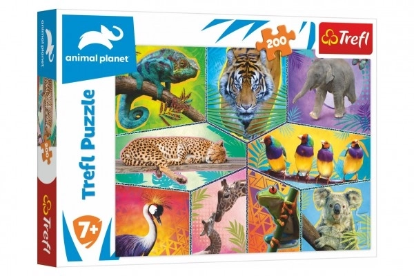 Puzzle Planeta zwierząt 48x34cm 200 elementów w pudełku 33x23x4cm