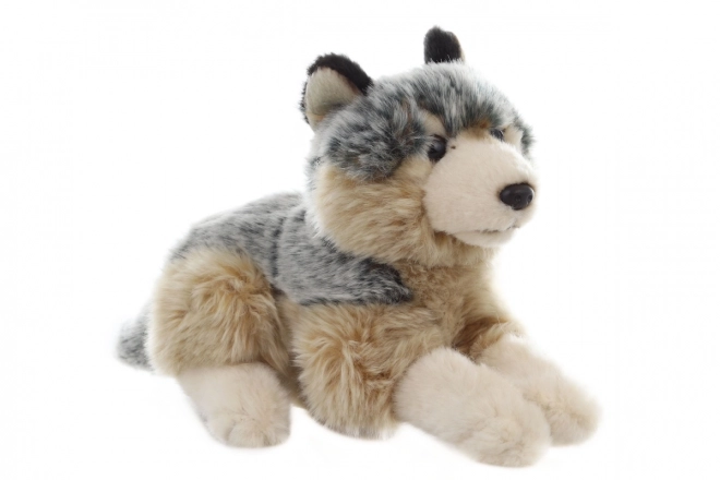 Pluszowy wilk leżący 22 cm