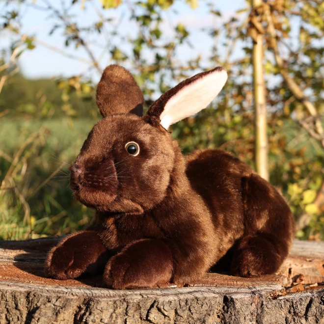 Pluszowy królik brązowy leżący 36 cm ECO-FRIENDLY