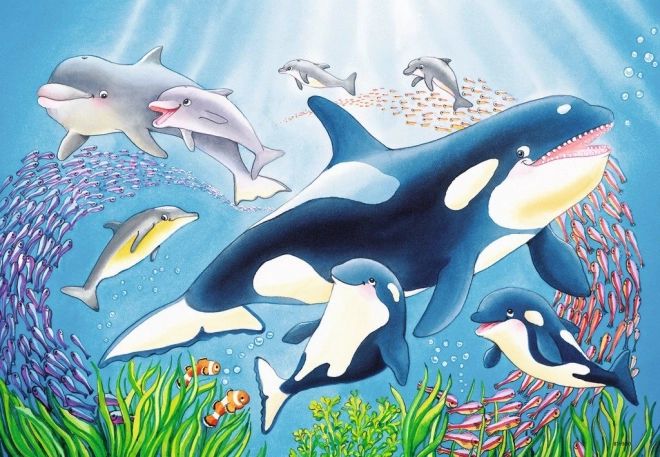 Puzzle podwodna piękność 2x24 elementy
