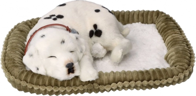 Realistyczny oddychający dalmatyńczyk PERFECT PETZZZ do adopcji